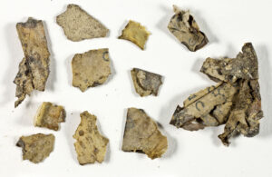 Fragmentos de pergamino de la Cueva del Horror, Israel