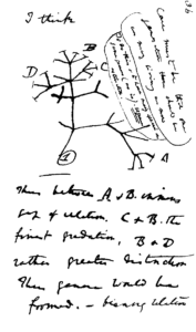 el árbol de la vida de Darwin