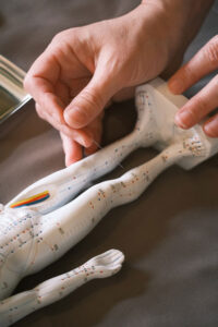 Hombre enseñando los puntos cardinales de la acupuntura